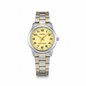 Reloj Casio bicolor - vista frontal catálogo
